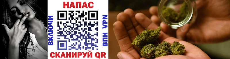где купить   Верещагино  Бошки Шишки White Widow 